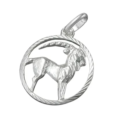 Produktbild von Anhänger 15mm Sternzeichen Steinbock Silber 925 silber 15mm