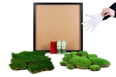 Produktbild von Moosbild DIY-Set River Design (55x55, schwarz)