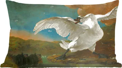 Produktbild von MuchoWow® Zierkissen Sofakissen Wohnzimmer Dekokissen 60x40 cm Schwan - Alte Meister - Jan Asselijn - Kopfkissen - Polster mit Foto
