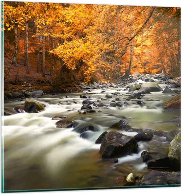 Produktbild von Bilder auf glas - Stream Herbst Forrest Berg - 70x70cm - Glasbilder - Wandbilder - Kunstdruck - zum Aufhängen bereit - Wanddekoration aus Glas - Glas Bilder - Wandbild auf Glas - GAC70x70-2703