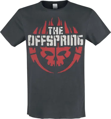 Produktbild von The Offspring T-Shirt Herren Amplified Collection - Skull Logo charcoal 3XL