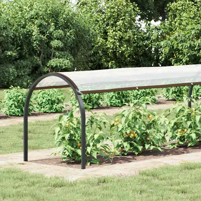 Immagine prodotto di Telone Trasparente con Occhielli 1x6 m in Polietilene