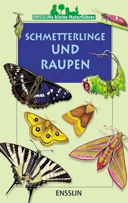 Image de Papillons et chenilles