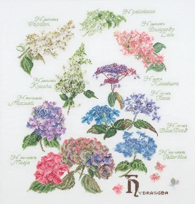 Produktbild von Thea Gouverr Kreuzstich Stickpackung "Hortensien-Panel Aida", Zählmuster, 44x46cm
