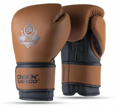Produktbild von DBX BUSHIDO SOVEREIGN Trainings Boxhandschuhe Leder 12 oz