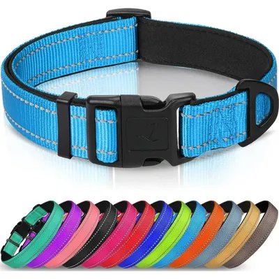 Produktbild von Hundehalsband Gepolstert Neopren Nylon Verstellbar Reflektierend Blau XS
