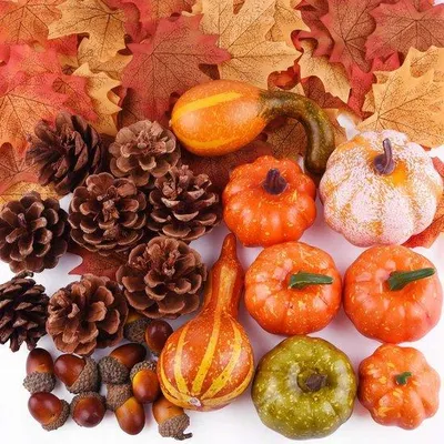 Produktbild von Herbstliche Schmuckidee 56 Teile - Naturperlenkugeln -Eicheln -Herbstlaubblätter und -Walzweige -Festdekoration -Herbstschmuckset -Allerheiligen -Erntedankfest -Festzubehör.
