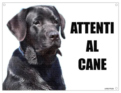 Hundeschild TARGA Metall 20x30 cm Labrador