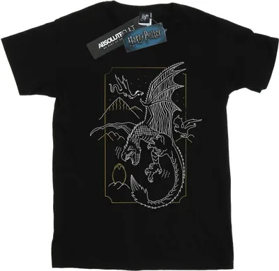 Produktbild von Harry Potter - T-Shirt für Herren BI29619 (M) (Schwarz)