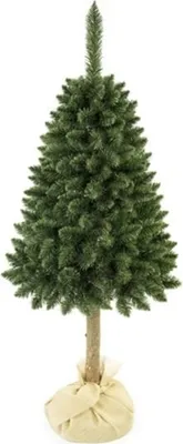 Image de Pin de Noël sur souche vert 155 cm