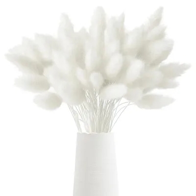 120 getrocknete Kaninchenschwanzblumen, Weiß, für Dekoration