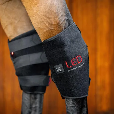 Obrázek produktu pro Horseware LED Red Light Therapy Hock Boot, Größe:Front Left, Farbe:Black/Black