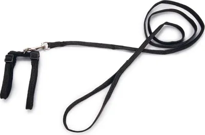 Produktbild von Beeztees - Katzengeschirr - Nylon - schwarz - 130 cm x 10 mm