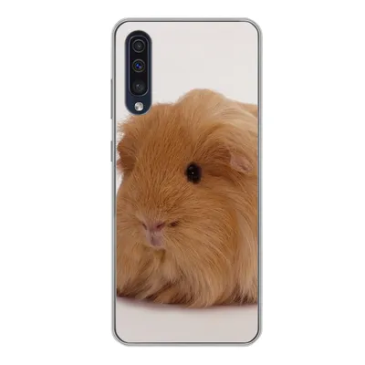 Produktbild von MuchoWow® Handyhülle Schutzhülle Hülle für Samsung Galaxy A50 Sheltie-Meerschweinchen Silikon Softcase Handy Hülle - Mobiltelefonhülle