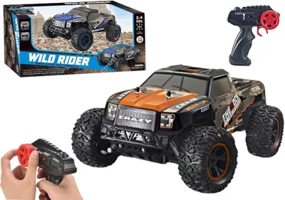 Image de Voiture R/C Wild Rider 1:10