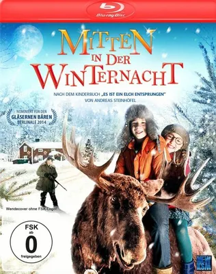 Produktbild von Mitten in der Winternacht