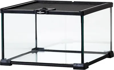 Immagine prodotto di Repti-Zoo Biotopo semplice - terrario 31x31x20 Repti-Zoo