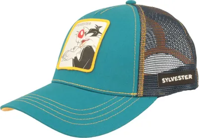 Looney Tunes Snapback Cap mit verschiedenen Motiven von Hut Breiter in blau