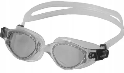 Image de Lunettes Arena Cruiser Evo Junior Fumé / Clair / Clair Taille unique
