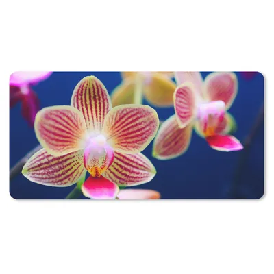 Produktbild von MuchoWow® Mauspad Mousepad Von Orchidee 60x30 cm - Mousepads - Maus Mat - Pad - Mausunterlage - Nachhaltig