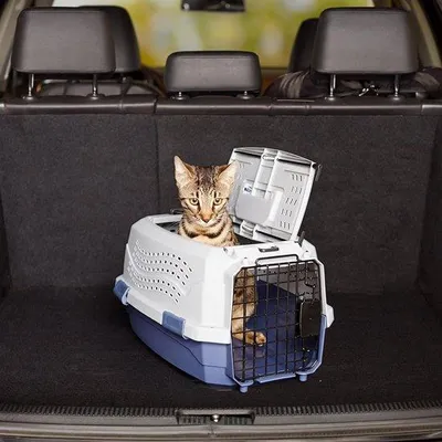 Immagine prodotto di Trasportino Famanu per piccoli animali domestici - 48,3 x 32 x 25,4 cm