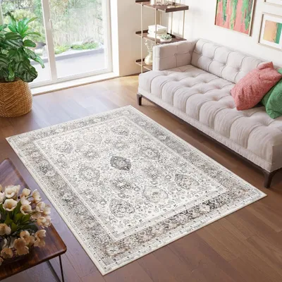 A living room scene with a rug, sofa, and plant.