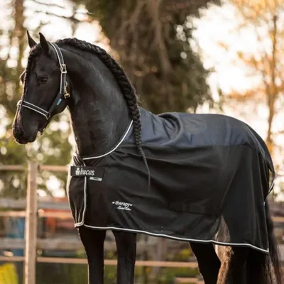 Image de Bucas Therapiedecke Therapy Mesh Cooler LE Black/Silver 135