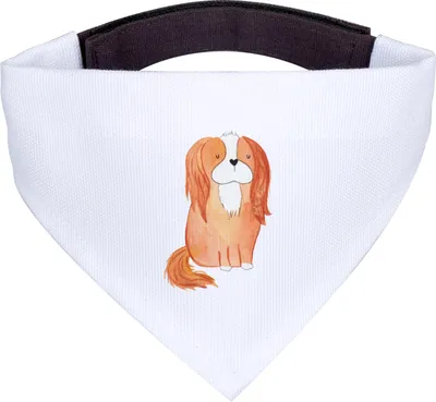 Produktbild von Mr. & Mrs. Panda Bandana Hund Cavalier King Charles Spaniel - Weiß - Geschenk, Dreieckstuch, Hunde Hals Tuch, Schlappohren, Halstuch für, Sprüche, Cockerspaniel