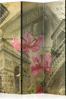 Produktbild von 3-teiliger Doppelseitiger Vlies Paravent - Bonjour Paris! 135x172 cm Städte d-C-0110-z-b