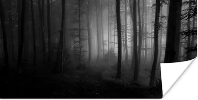 Produktbild von MuchoWow® Poster Grüner Waldweg - schwarz und weiß 80x40 cm - Wanddeko