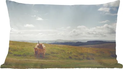 Produktbild von MuchoWow® Zierkissen Sofakissen Wohnzimmer Dekokissen 50x30 cm Schottische Hochlandrind - Gras - Wolken - Tiere - Wohnzimmerdekoration - Polster mit Photo