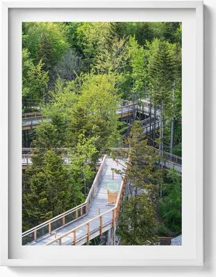 Produktbild von Ein Weg in Krynica Zdrój– Wandbild mit Rahmen – Gerahmtes Bild  – Wanddekoration – 60x80 cm –  Weiß Rahmen
