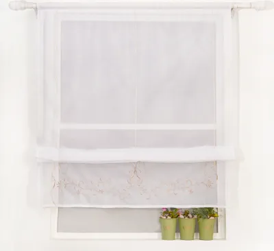 Produktbild von Joyswahl Raffrollo Küche Gardinen mit Rankenstickerei Fensterrollo Voile Modern Raffgardinen mit Tunnelzug Transparent Beige BxH 120x140cm