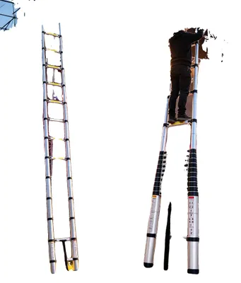 Imagen del producto de Escalera telescópica, alta capacidad de carga, diseño antideslizante, color plateado