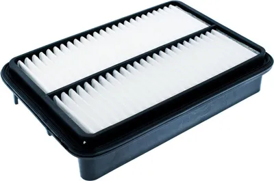 Immagine prodotto di Filtro aria MS 2535-LF-PCS-MS per MITSUBISHI ASX (GA_W_)