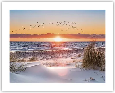 Produktbild von Poster - Poster ohne Rahmen - Sonne Strand Vögel - 50x40 cm - Wand Bild - Wanddeko - Wandbilder - Kunstposter - Wandposter - Bilder - Kunstdruck - Wanddekoration - Wandbild - P2XAA50x40-4727