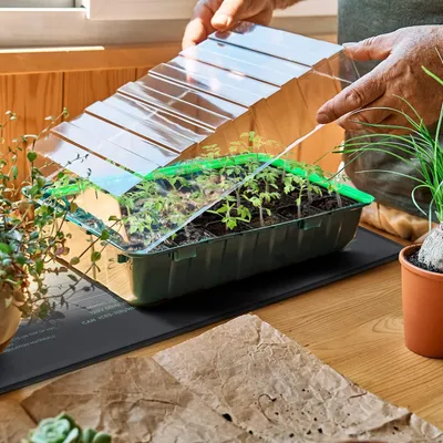 Obrázek produktu pro Equivera Warmtemat Plants - 25 x 52 cm - Voděodolná - Kultivační podložka - Vyhřívací podložka pro rostliny - Warmtemat Plant Cultivation - Vyhřívací podložka pro rostliny - Kultivační zařízení - Warmtemat Terrarium
