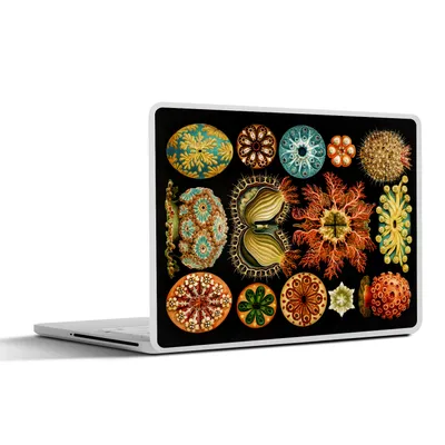Produktbild von MuchoWow® Laptop Aufkleber Sticker Cover Vintage - Ernst Haeckel - Meerestier - Natur - Meer - Kunst 36.5x27.5 cm - Laptop-Sticker