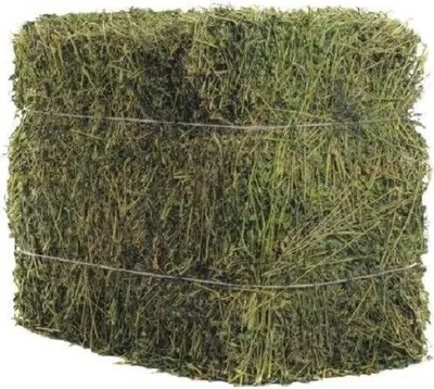 Produktbild von karton-billiger | Heu 10kg Auswahl Heuballen Wiesenheu 1.Schnitt Kaninchenheu Nager Pferde Meerschweinchen Schafe