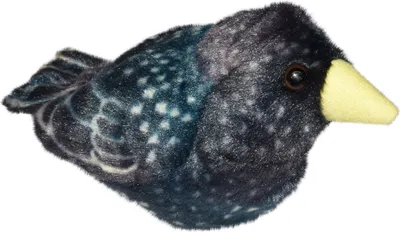 Produktbild von Starling-Klangvogel - STARLING