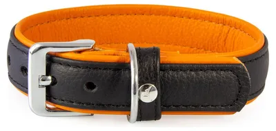 Produktbild von Das Lederband Hundehalsband Denver schwarz/cognac, Länge: 65 cm / Breite: 35 mm