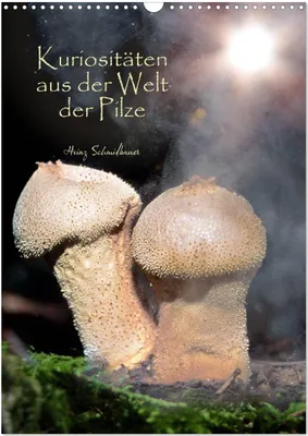 Produktbild von Kuriositäten aus der Welt der Pilze (Wandkalender 2026 DIN A3 hoch), CALVENDO Monatskalender