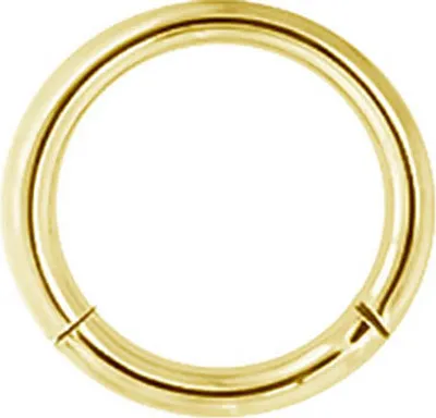 Produktbild von Karisma Titan Gold G23 Hinged Segmentring [10 mm] Charnier/Septum Clicker Helix Ring Piercing Ohrring Durchmesser 10 mm