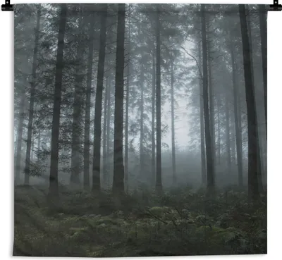 Produktbild von MuchoWow® Wandteppich Wandbehang Wald - Licht - Nebel 60x60 cm Tapisserie Dekoration Wandtuch - Dekorationen - Wand Decke