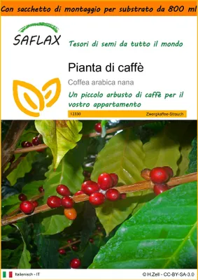 Immagine prodotto di SAFLAX Garden in the bag - Pianta di caffè - 8 semi - Coffea