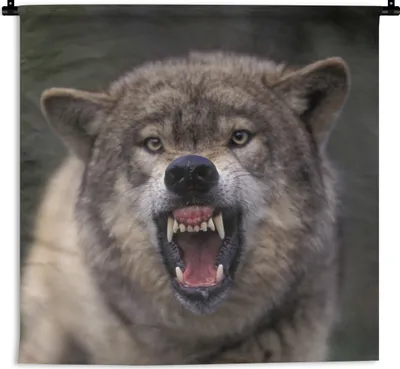 Produktbild von MuchoWow® Wandteppich Wandbehang Wolf - Maul - Zähne 60x60 cm Tapisserie Dekoration Wandtuch - Dekorationen - Wand Decke