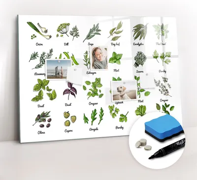 Produktbild von Magnetpinnwand Memoboard - Zubehörsatz - Schwarzer Marker + Schwamm + Magnete - 100 x 70 cm - Arten von Bäumen