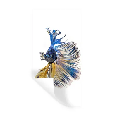 Produktbild von MuchoWow® Wandtattoo Wandsticker Wandaufkleber Fisch - Schwanz - Blau 20x40 cm Selbstklebend und Repositionierbar - Selbstklebend - Fototapeten