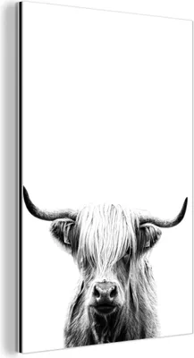 Obrázek produktu pro Nástěnná dekorace Kovový kovový obraz Wall Art 20x30cm Skotský horal na bílém pozadí - černobíle Muchowow Hliníkové obrazy