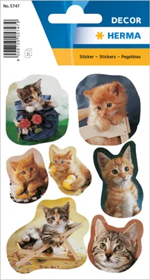 Immagine prodotto di Herma 5747 5747 Sticker DECOR gattini fotogenici